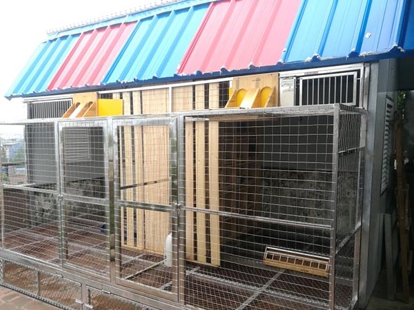 ���������깤��