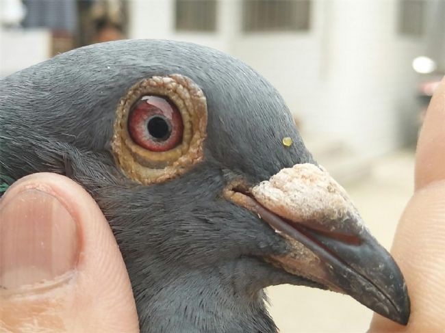 1500���ﳬԶ���Ǿ�֮�ÿ���