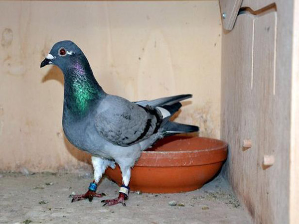 ����ʱ�Ǿ���I������36004��߷��ٹھ�����