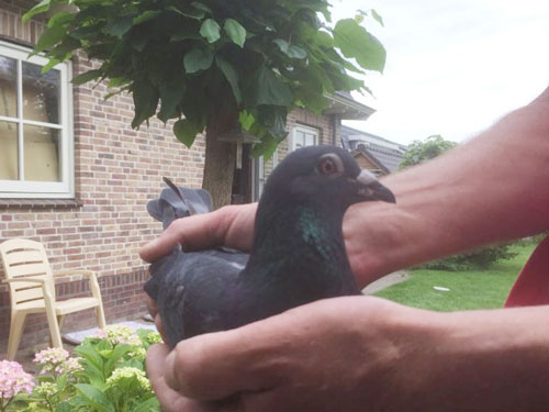 ���ǹ��������չ��ܹھ��������վ೬��1000����