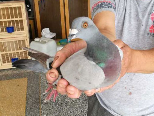 �γǿ�������ᳬԶ��һ�˶�ڼ���