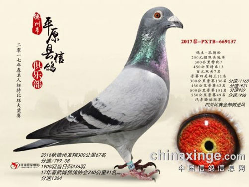 �������ĵ�20��ھ�������