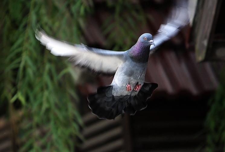 �й���Զ�̵�δ�� ���������ǡ������һ