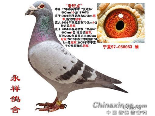 ������������ϵ ߳�����ʮ����