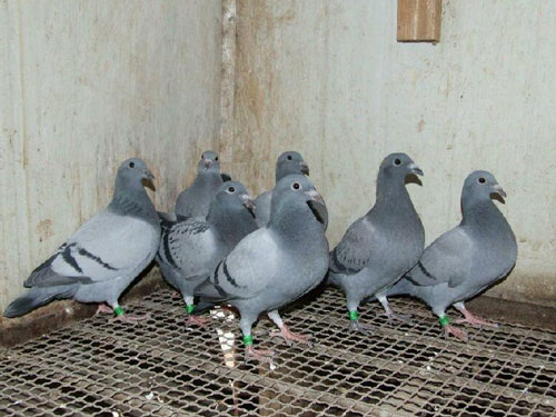 �������һЩʱ�� �����о�ϲ