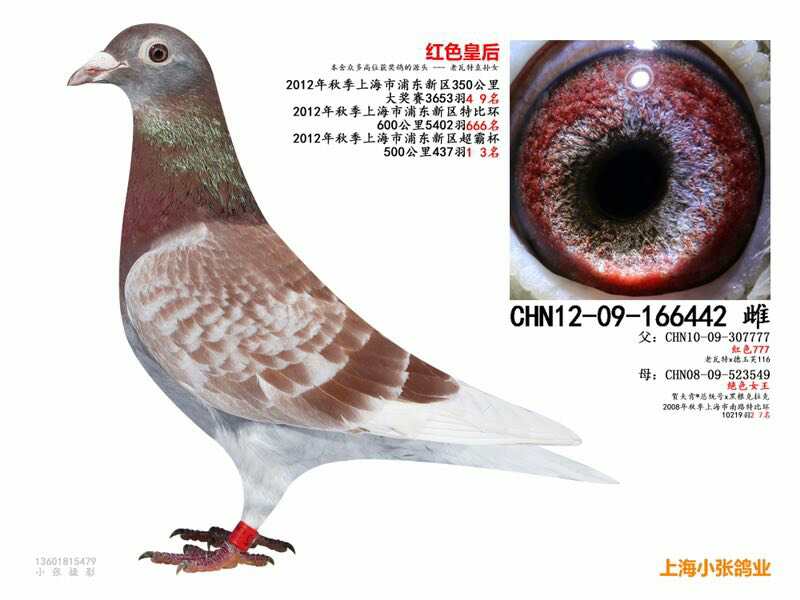 ����֧������׿�� ���Ϻ�С�Ÿ�ҵ