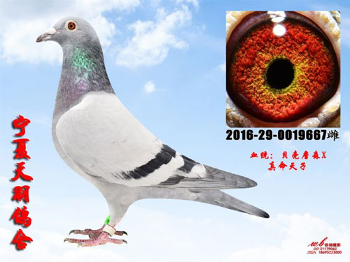 ��������һ������ ����ȫ���ָ�