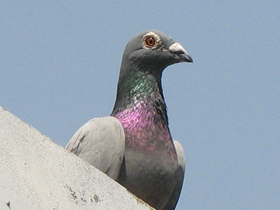 ���ָ����ôѡ��