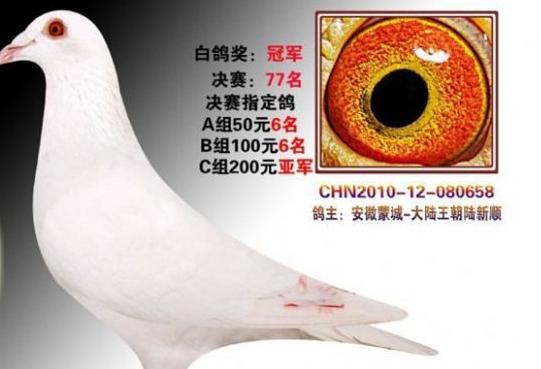 ��ʮ������뾭�飺Ī���޽��ɱ��˱���