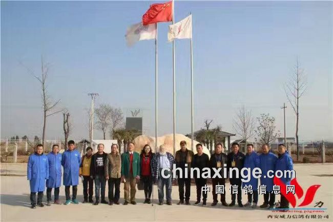 ��ʫһ�ף��ޡ��������ֵ� 