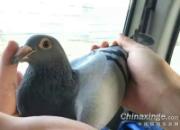 �޸���ĸ���ؼ� ������ɸ�����Դ