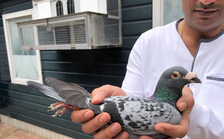 �������Ǹ����ھ�������ȿ� �����Ͻ�����ʹھ�