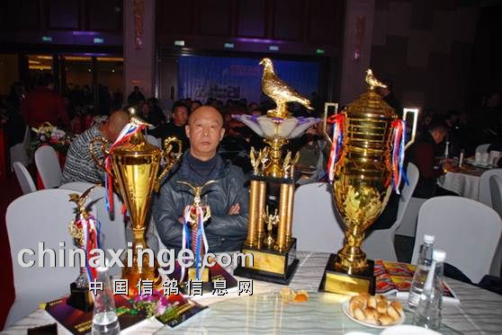 ������Ӣ���ھ����� ����ָ����׼��