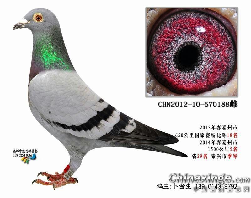 ����ɾ;��� ���ճ�Զ��ʡ�ھ�����