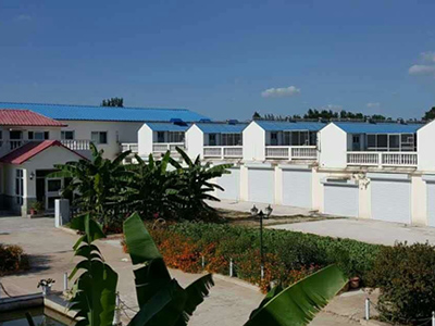 20��ļ�� ��ʿ������дɣ��ʿ����