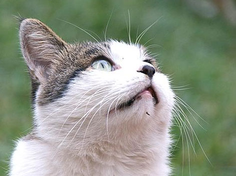 ��Ҫ��ĸ����ǿ������㣡