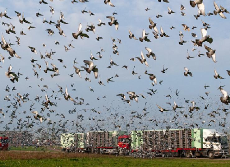 �Ǿ���NPO ǰ������ƿ˶�ռ10ϯ��