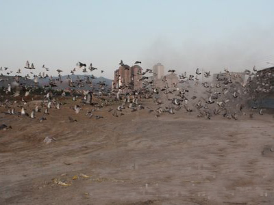 ���ճ�Զ�̳ɼ���ʾ��ʮ�챨��200�� ������ҫ�� 