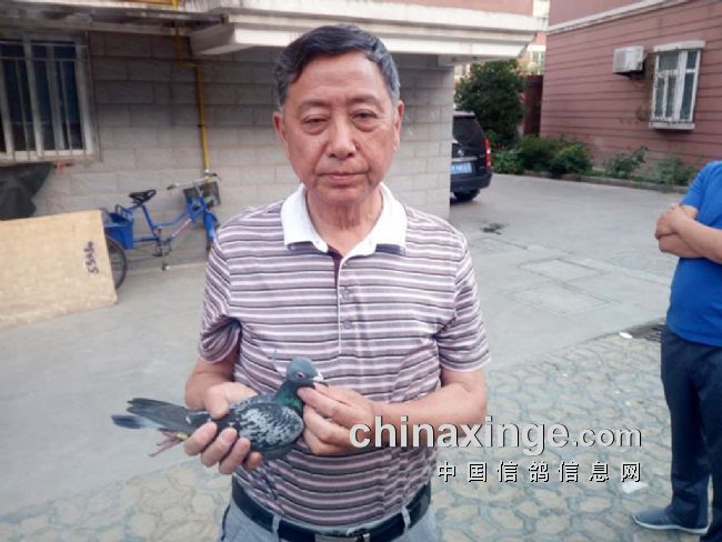 �ɲ��˳�Զ�� �������ָ롪��ר�ý��ճ�Զ���ܹھ�