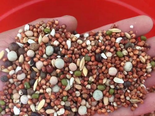 �ļ�Ԥ������� ���������ǹؼ�