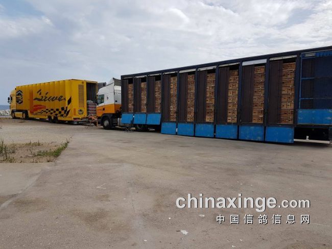 ����ʱ5000����ʧ�� �����ߣ����˾ٰ쳤����