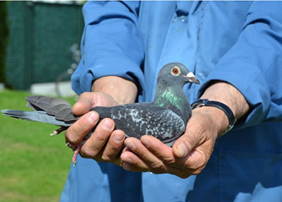 ����ʱ������������� ����ȥ�����ھ�