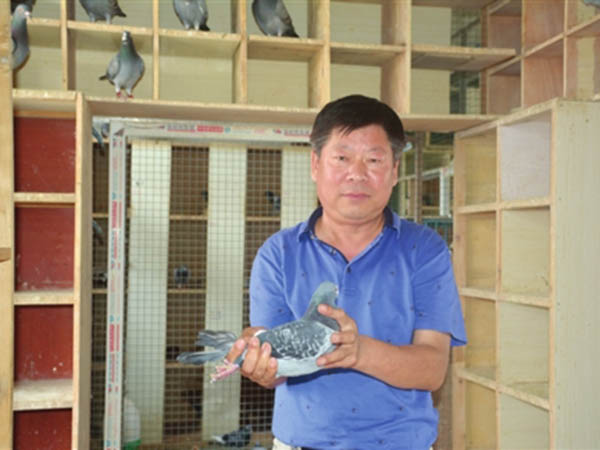 ���ݡ����������ɼǣ����������������ھ�