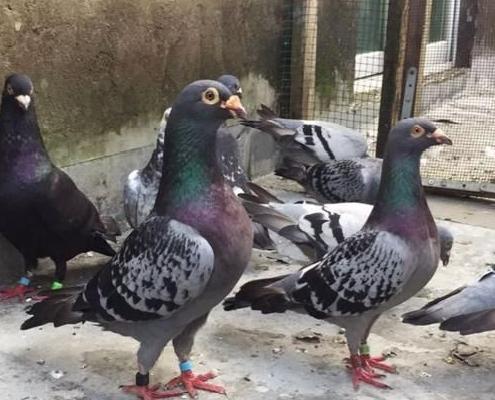 ���������� ���춼û���