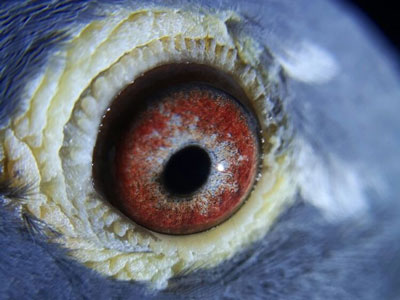 ���ۼ��� ��ϲ����һ����