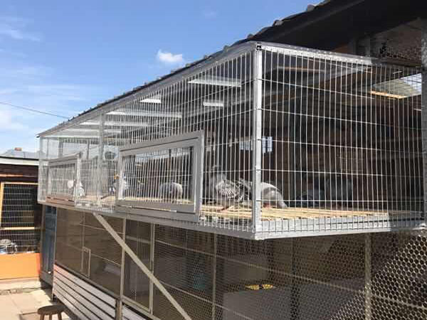 ɹ���Ľ��� ɹһɹ����