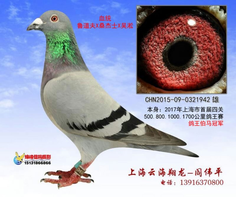 ר�ã��Ϻ����Ĺظ��������ھ� �����˳���ʮ��