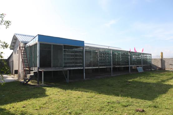 ̽�á���ש�۹����������˹��ʸ�ҵ(ͼ)