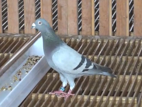 ʵ�ģ�������ҵ������������������