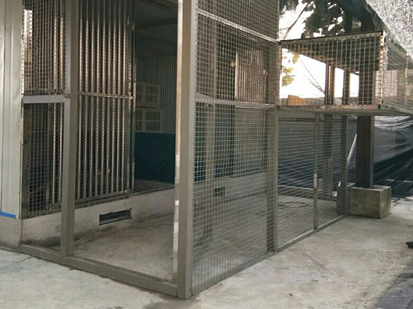 �¸�������