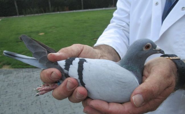 ŷ���ð�ھ����ʳ�¯ �����ھ�������