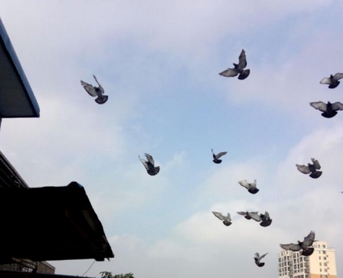 ��ս���� Ŭ�����õ���