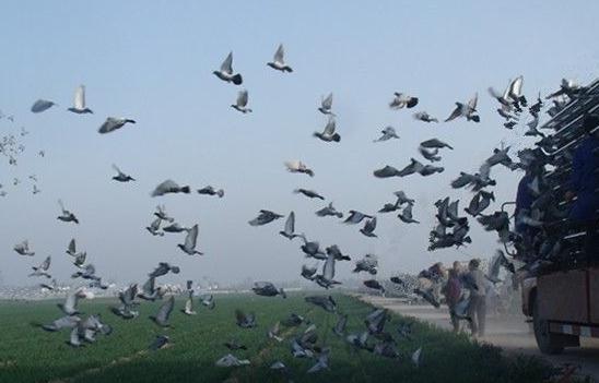 �Ϸ����￪ʼѵ�� �ڴ�����