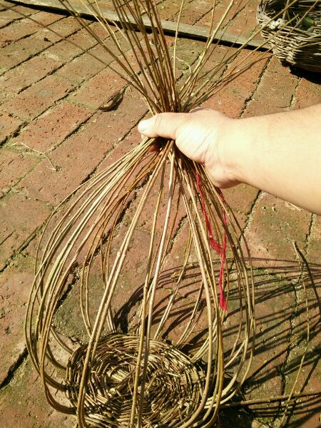 ���񿴿��ֱ�ĸ����ѿ�����