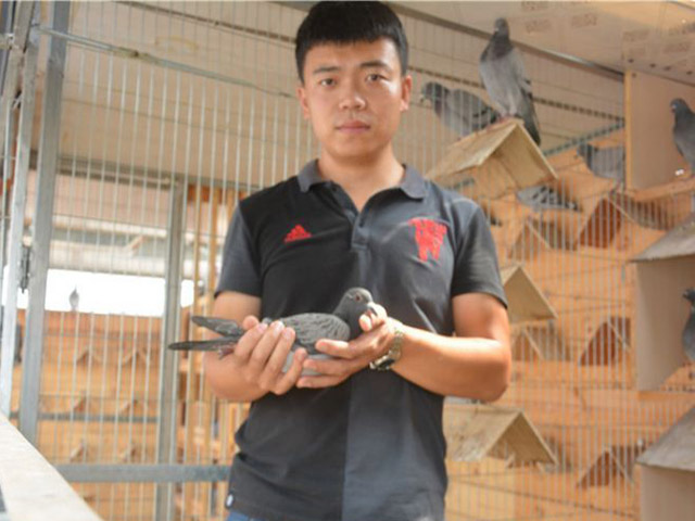 ���ߵ�80����ѣ���������һ�� ���Ҹ��Ӳ���