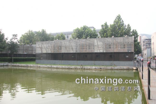 ����·�ӡ��ɾ���ʱ���������ø��󿧳·���