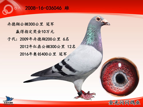 ÿ��һ�룺�����300����ھ�����������