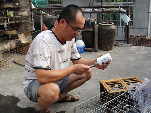 ���ĸ���С�� ���İ�æ������