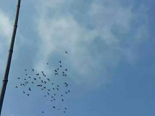 ʫ��һ�ף�����Ե