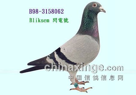 ÿ��һ�룺�Ǳȴ����롰����š�