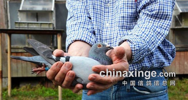 ����ʱ����³III�ھ����� �Ͻ�������ǰʮ��