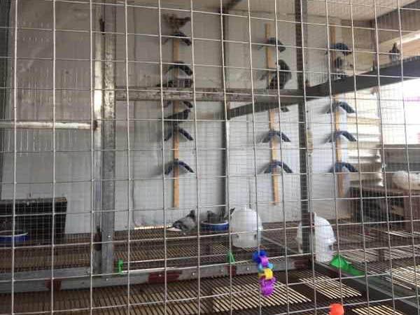 ������ҹ�Ϲ��������� ������֮����