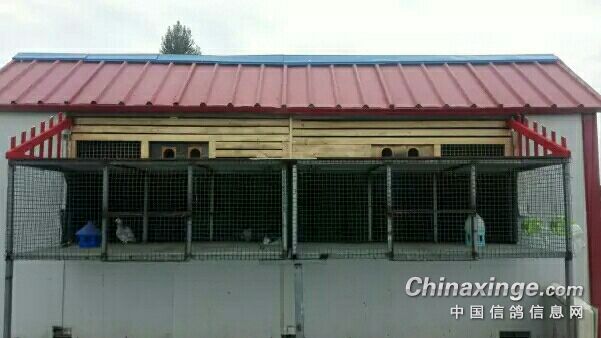 ��ȼ�������� ���ֽ������ļ� 