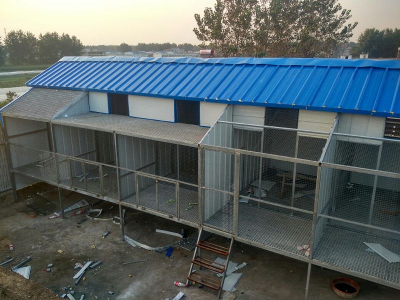 ��ª�ﵽ���� Բ�εĸо���ã�