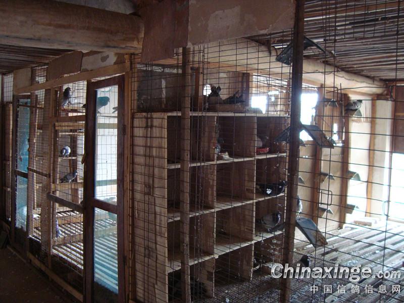 ����������ֺ���Ҫ