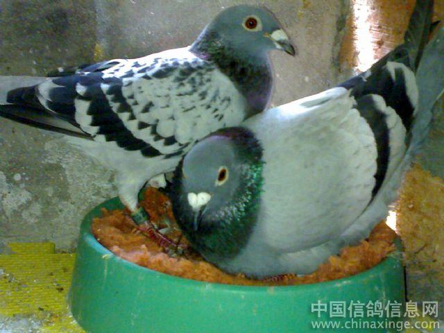 ���뽡����������������